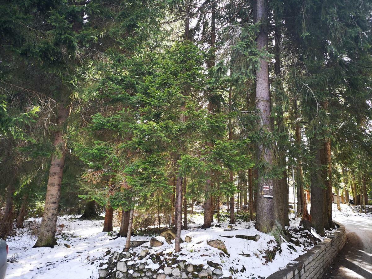 Excellent Studios For Your Vacation-Hotel Villa Park- Borovets Dış mekan fotoğraf