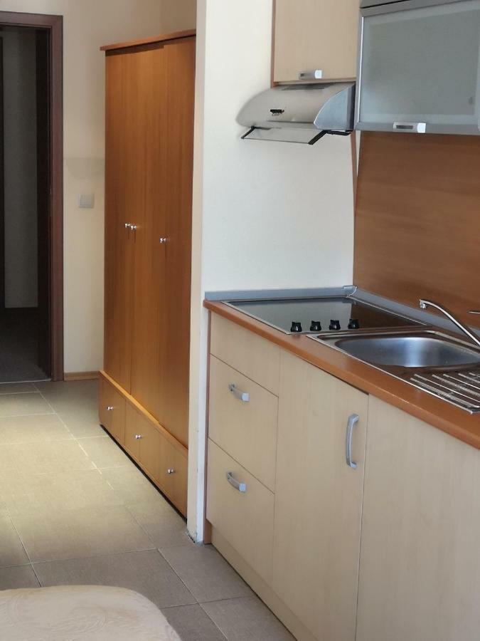 Excellent Studios For Your Vacation-Hotel Villa Park- Borovets Dış mekan fotoğraf